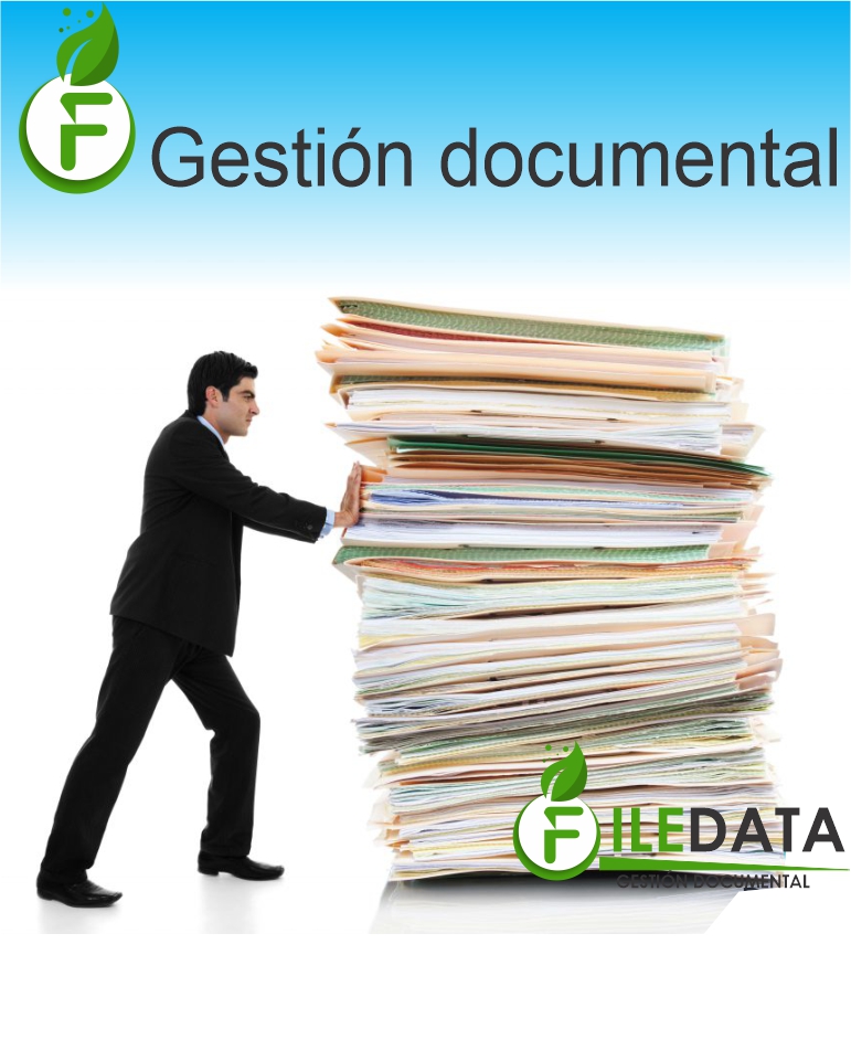 filedata organizacion documental